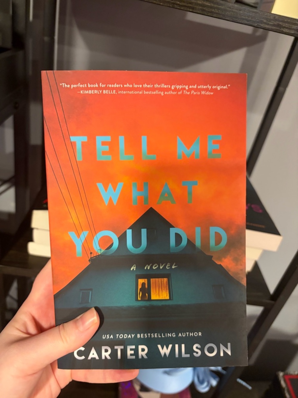 4/$25 – Tell Me What You Did by Carter Wilson